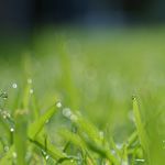 ResearchBlogCast #7: New Model of Cooperation