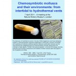 Mollusks Who Take Advantage of Others and the Scientist Who Study Them