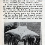 The mysterious case of the missing manta bits