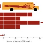 Whale Sharks and Giant Squids: Big or Bu!!$hit?