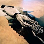 Giant Squid Ceramic Art Sculptures by David Zink Yi