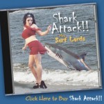 Shark Week: What Is Your Fascination With Sharks?
