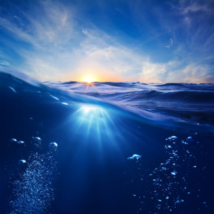 shutterstock_102961433