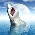 What ate a 3 meter long Great White? Probably a Wereshark