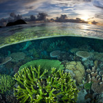 This is why we can't have nice things…like the ocean