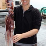 Guest post: The stunning deep-water biodiversity of the Bear Seamount