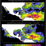 Caribbean Coral Die-Off Could Be Worst Ever