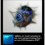 Fishes of Instagram #throwbackthurday